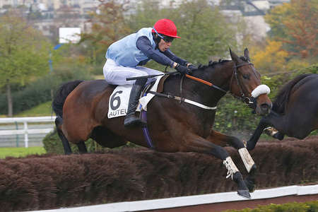 Actualités Hippiques